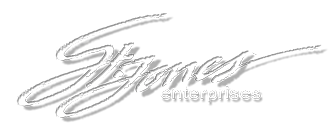 St.Jones Enterprises
